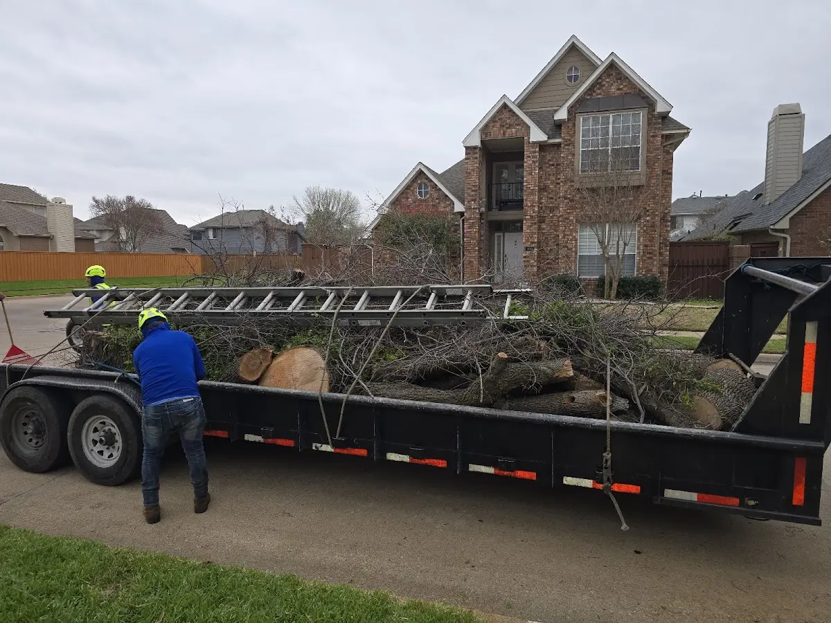 Expert Lot Clearing with proper safety equipment in Kingsland